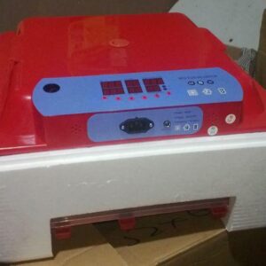 Parrot Egg Incubation