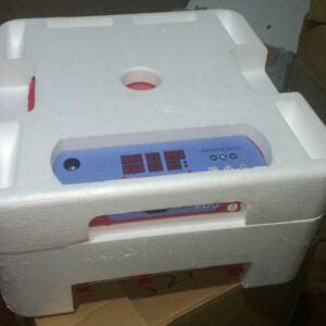 Parrot Egg Incubation